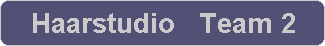 Haarstudio   Team 2